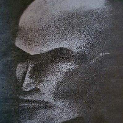 Thor Stein