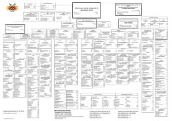 FIRE Organigramm 2026